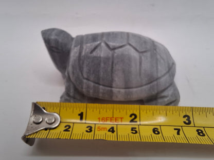 Sad Looking Turtle Carving