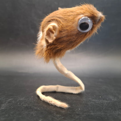 Head: Two, Tail