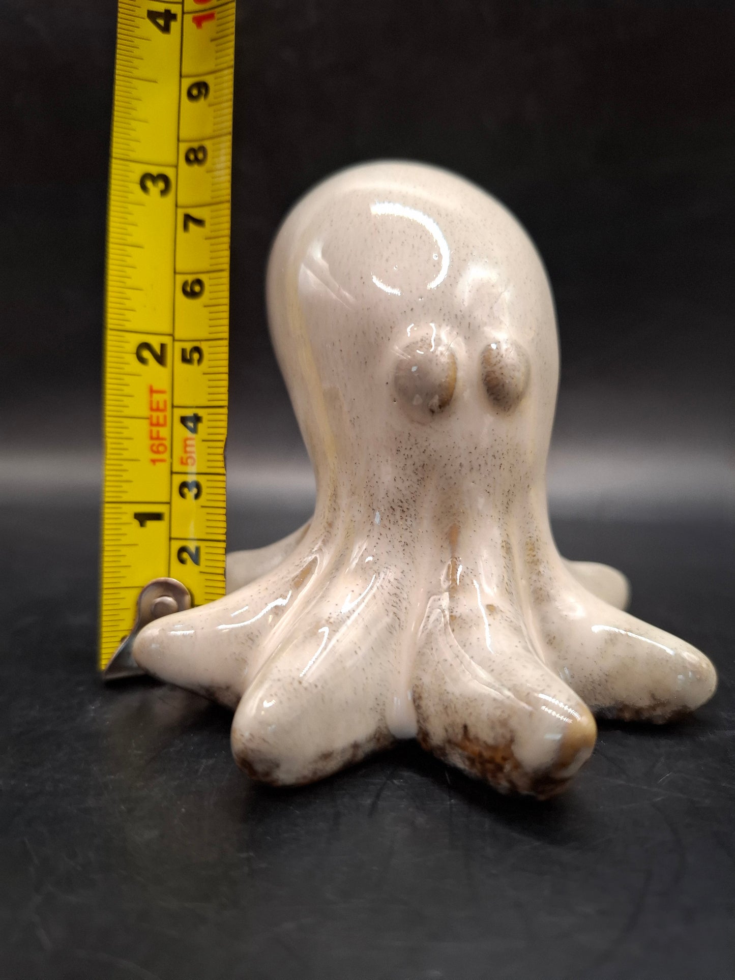 Milky Looking Octopus