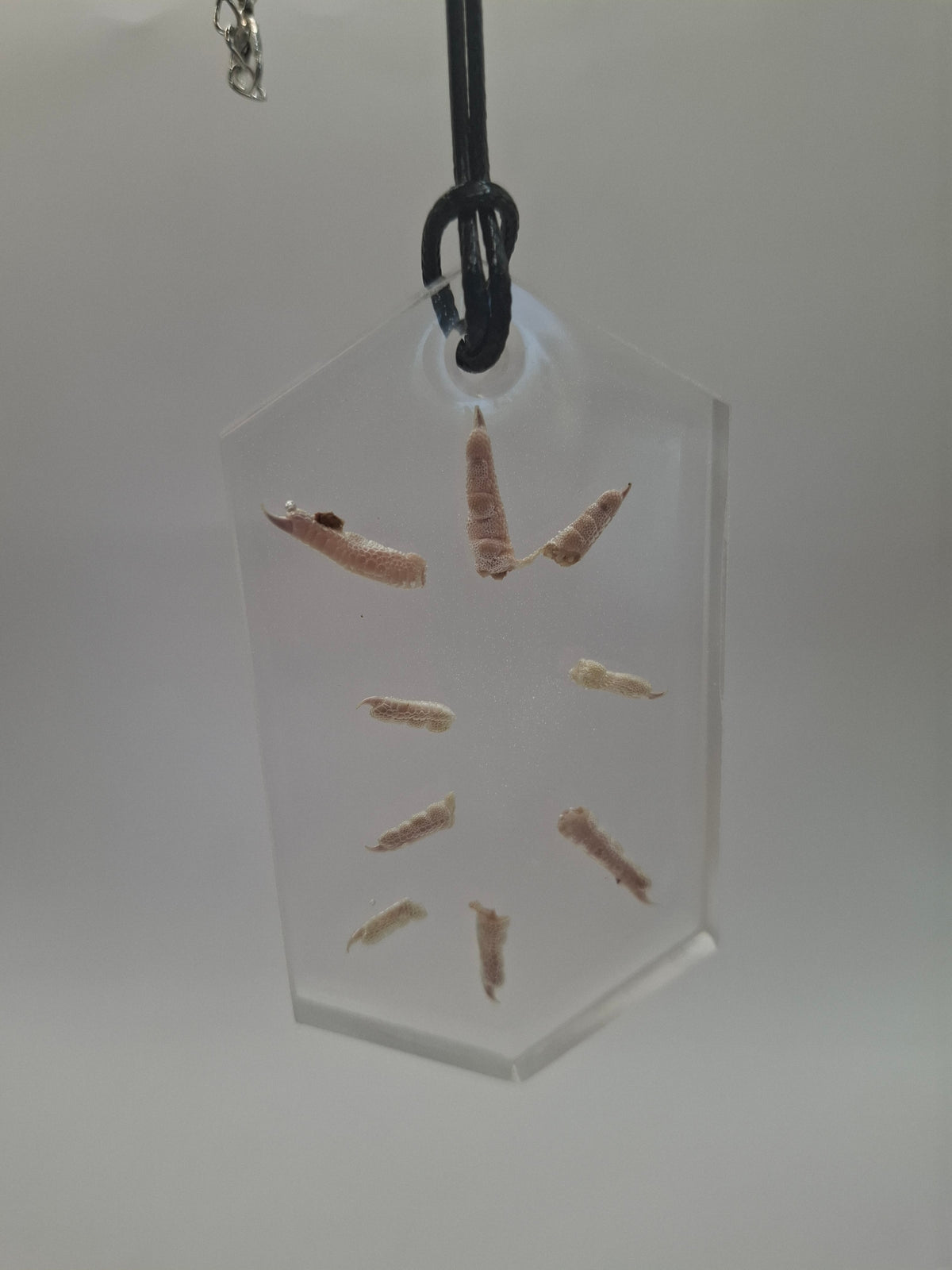 Toesplotion Necklace