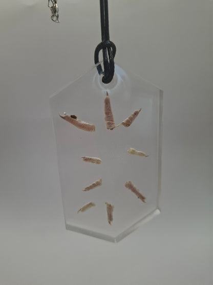 Toesplotion Necklace