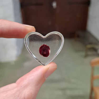 Rat Heart