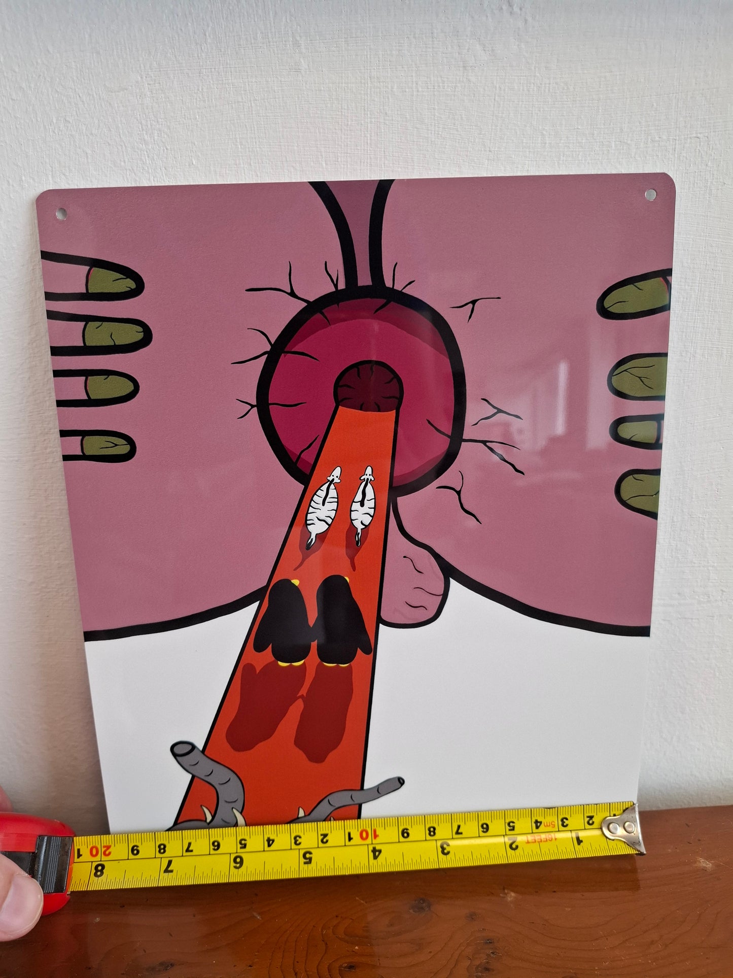 Noah's Arse Wall Sign