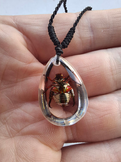 Little Chafer Beetle Necklace