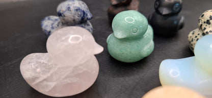 Rock Ducks
