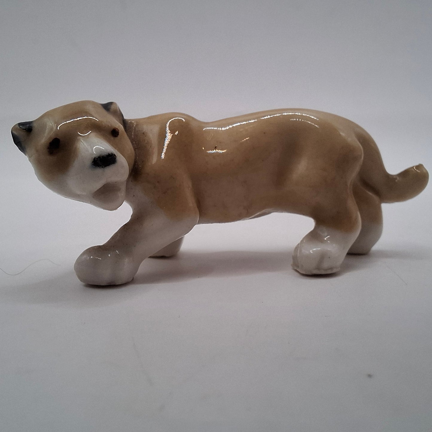 Tiny Animals