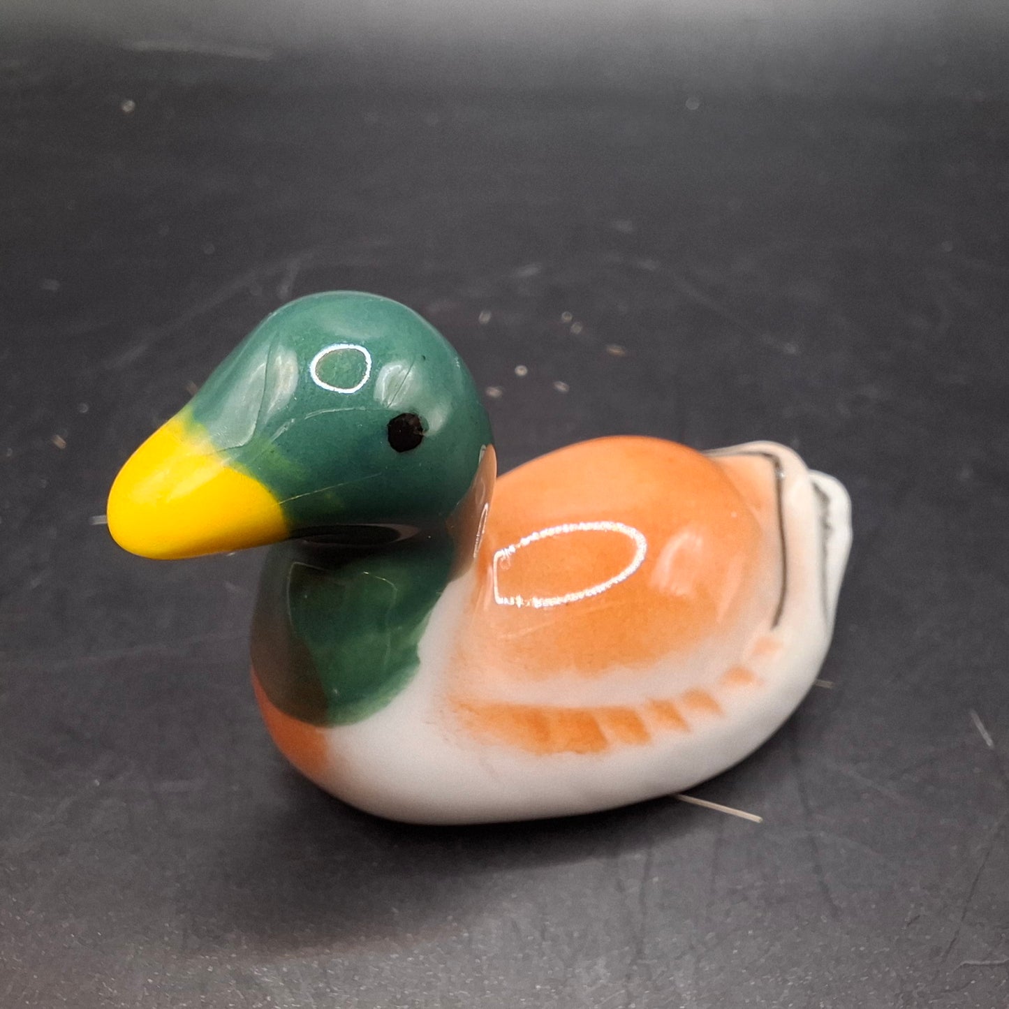 Duck