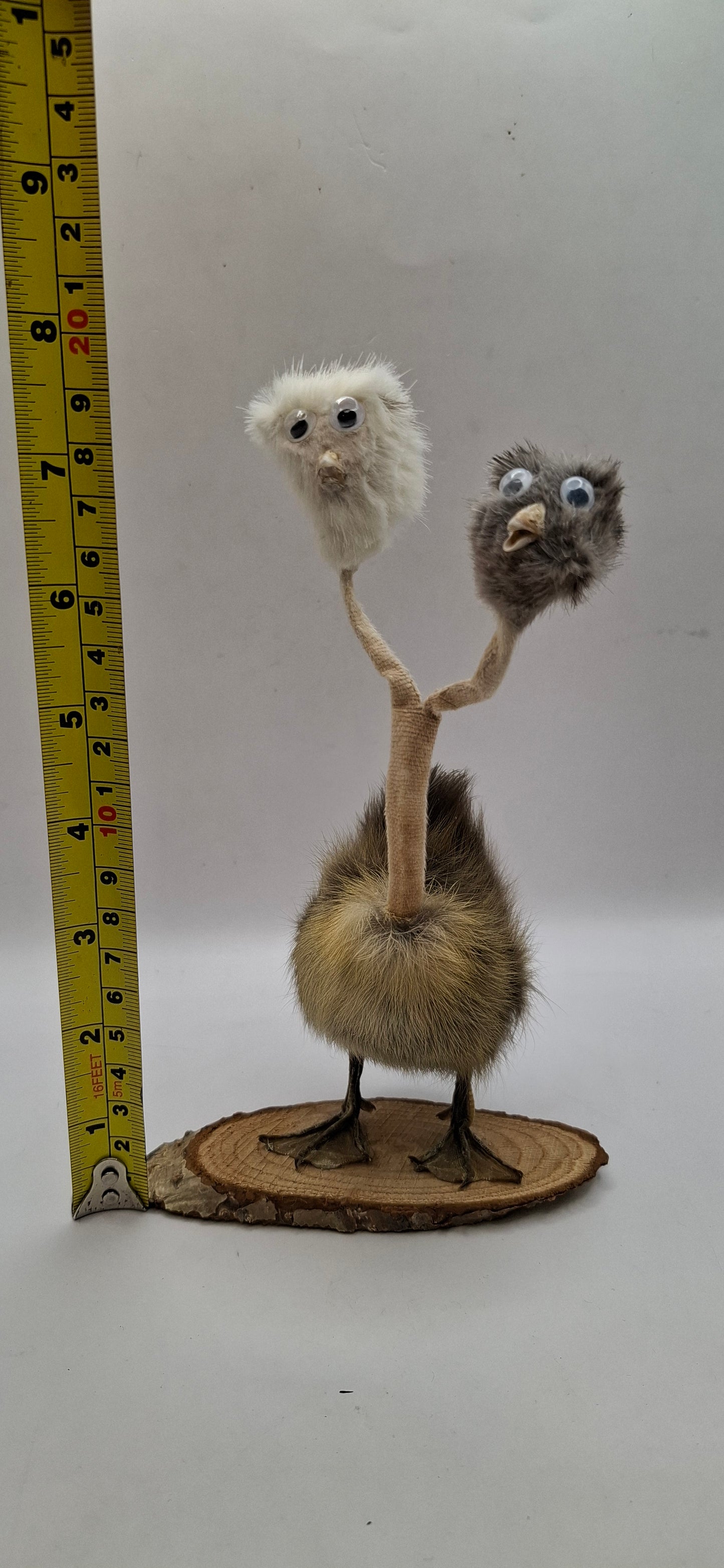 Twin Beaks