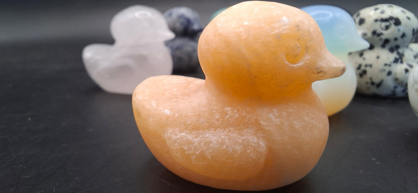 Rock Ducks