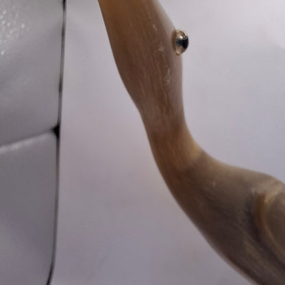 Horn Carved Into A Bird