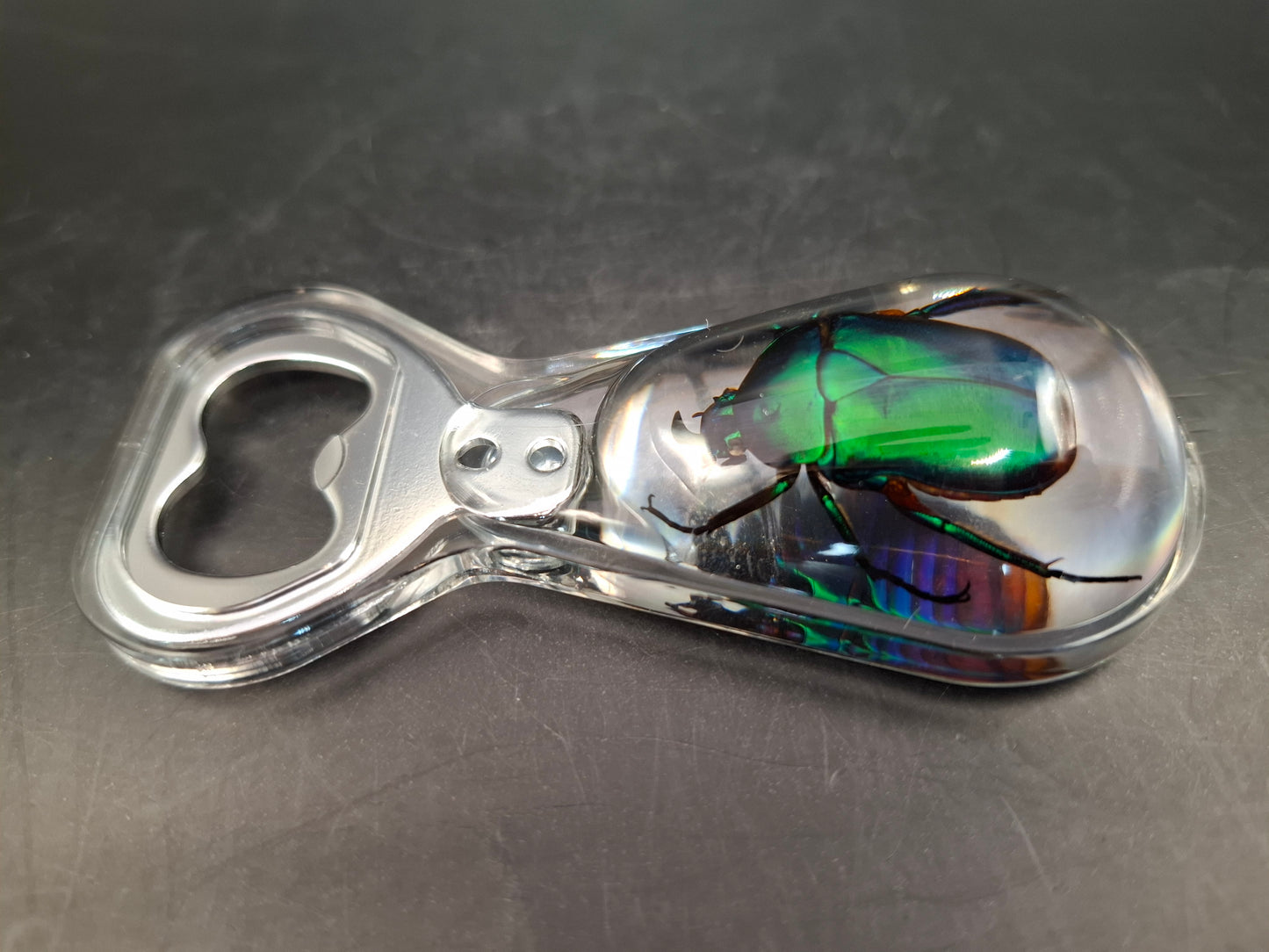 Chafer Beetle Bottle Opener