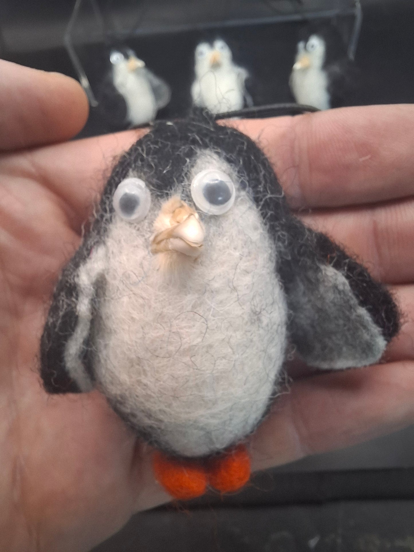 Dead Bird's Beak On A Penguin