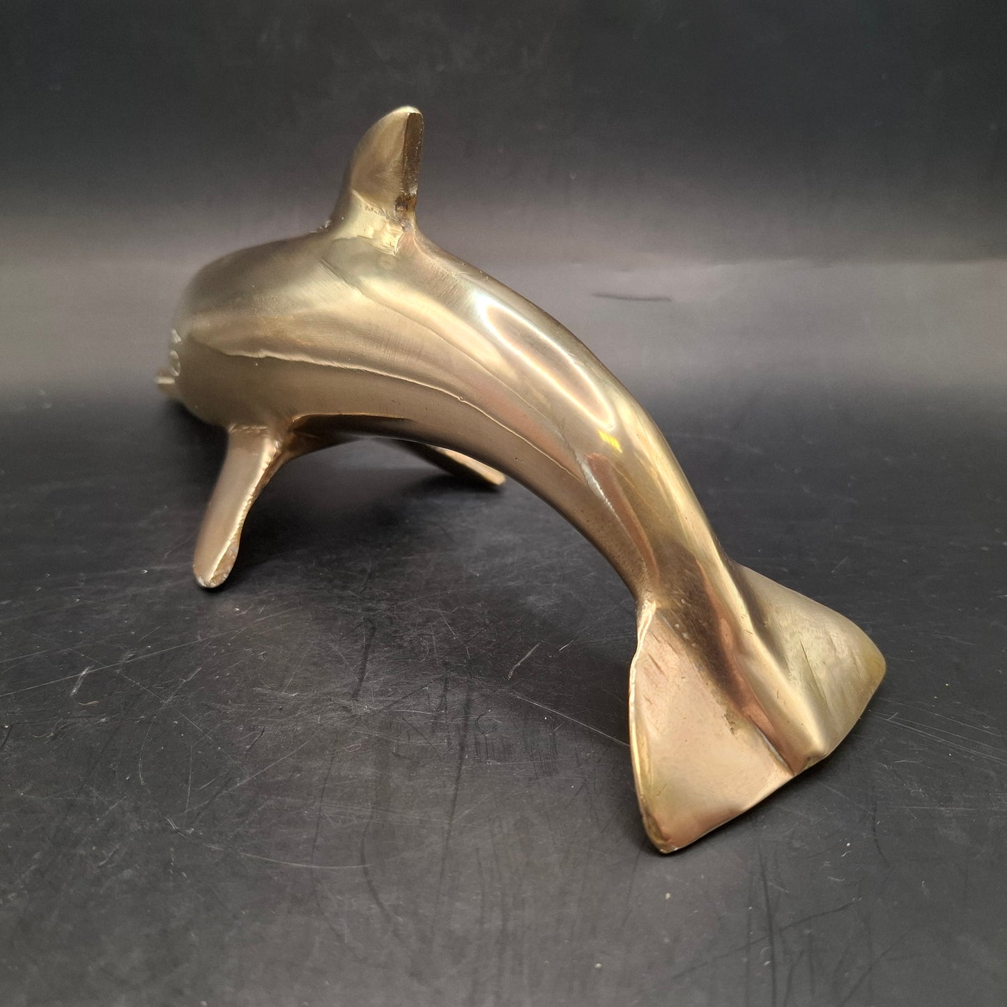 Metal Dolphin