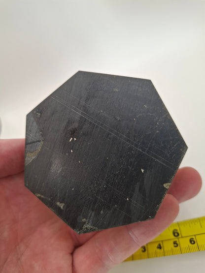 Vintage Dark Resin Plant