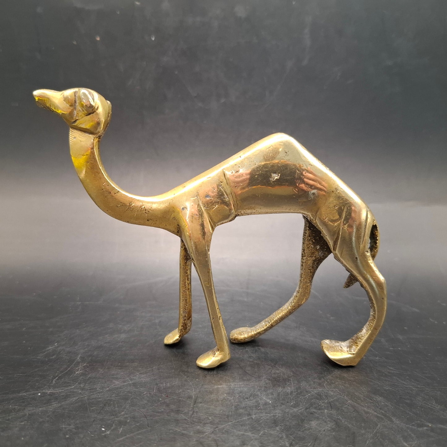 Metal Camel