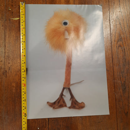 One Eyed Waddler Poster