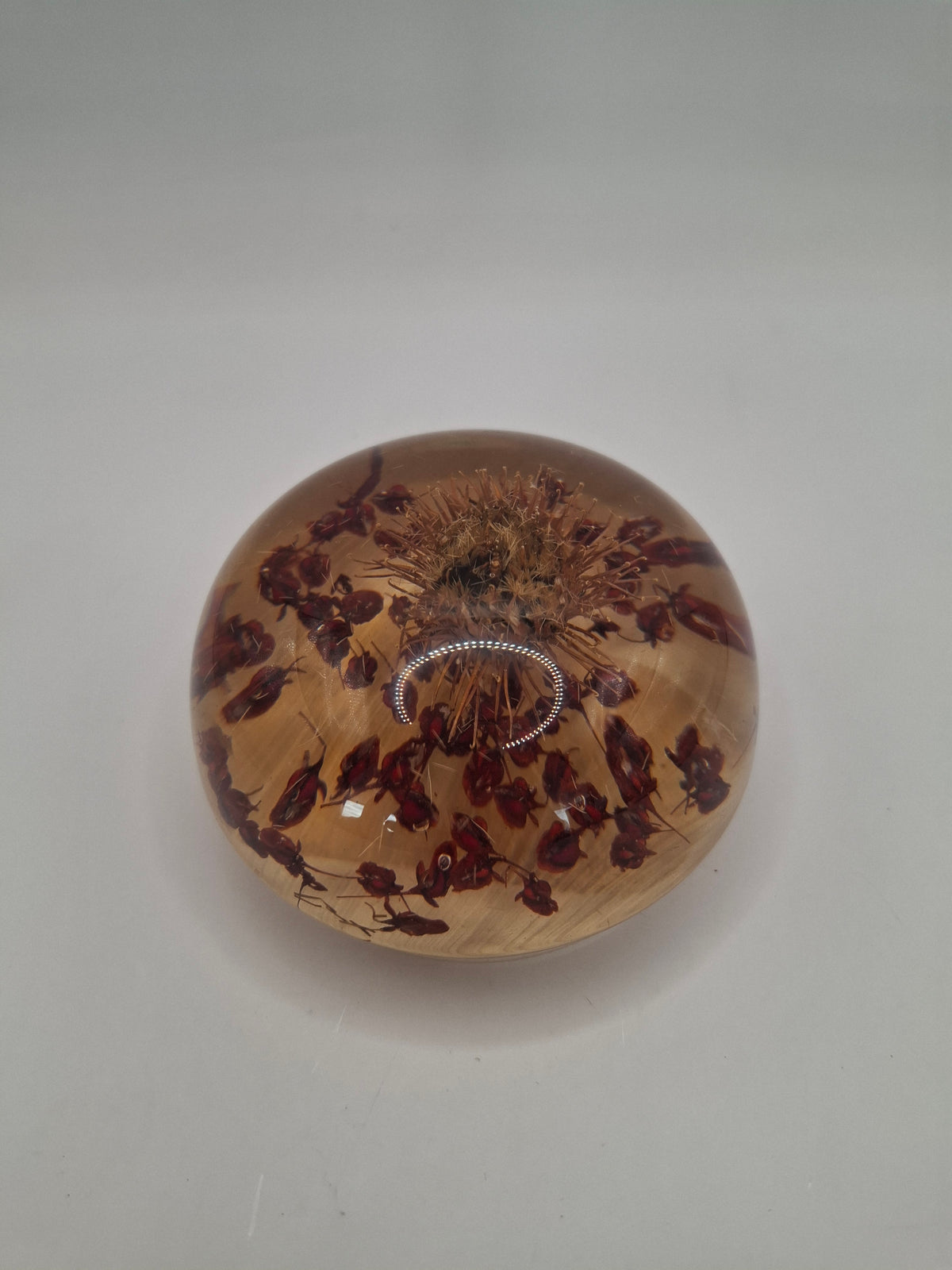 Vintage Resin Flowers