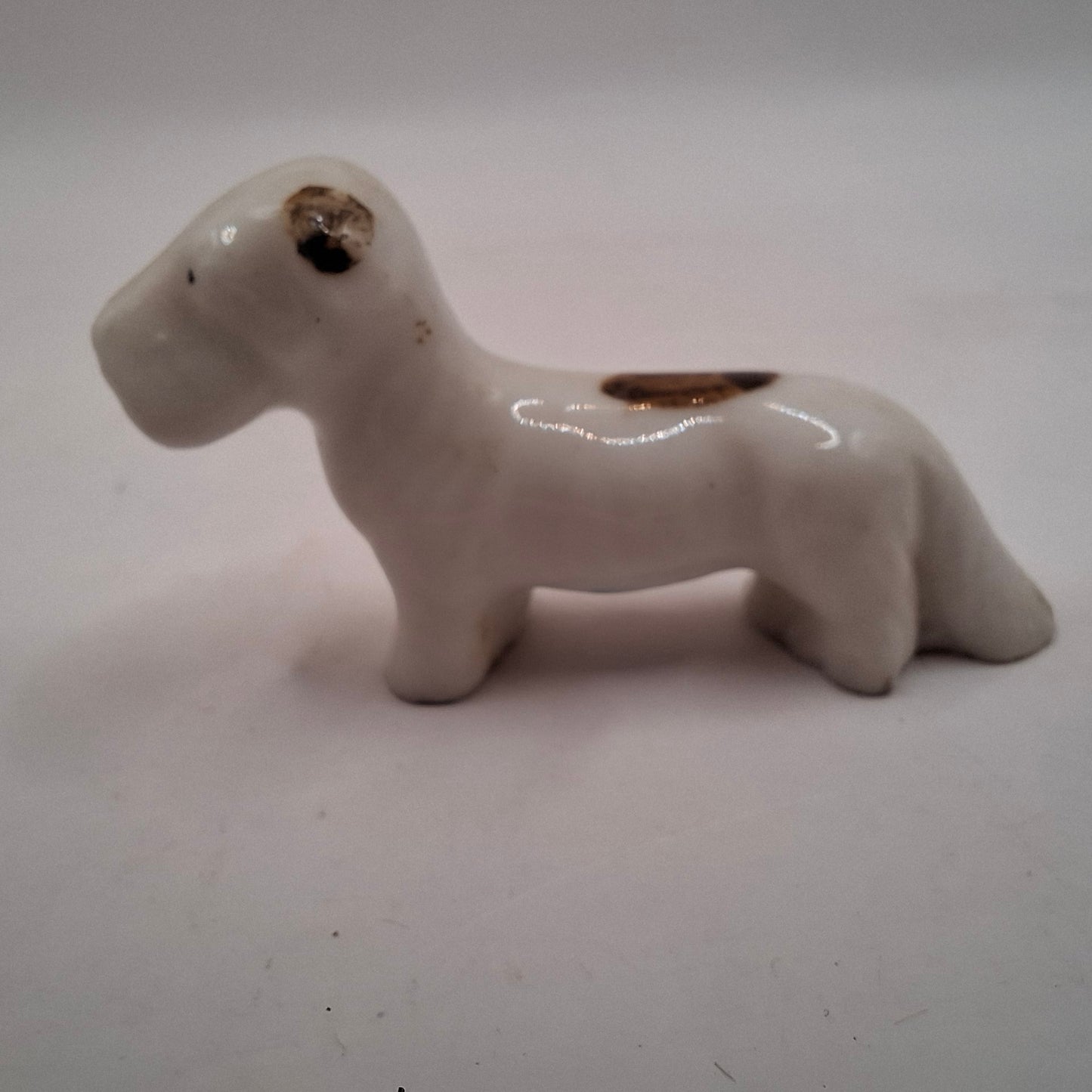 Tiny Animals MORE OF THEM