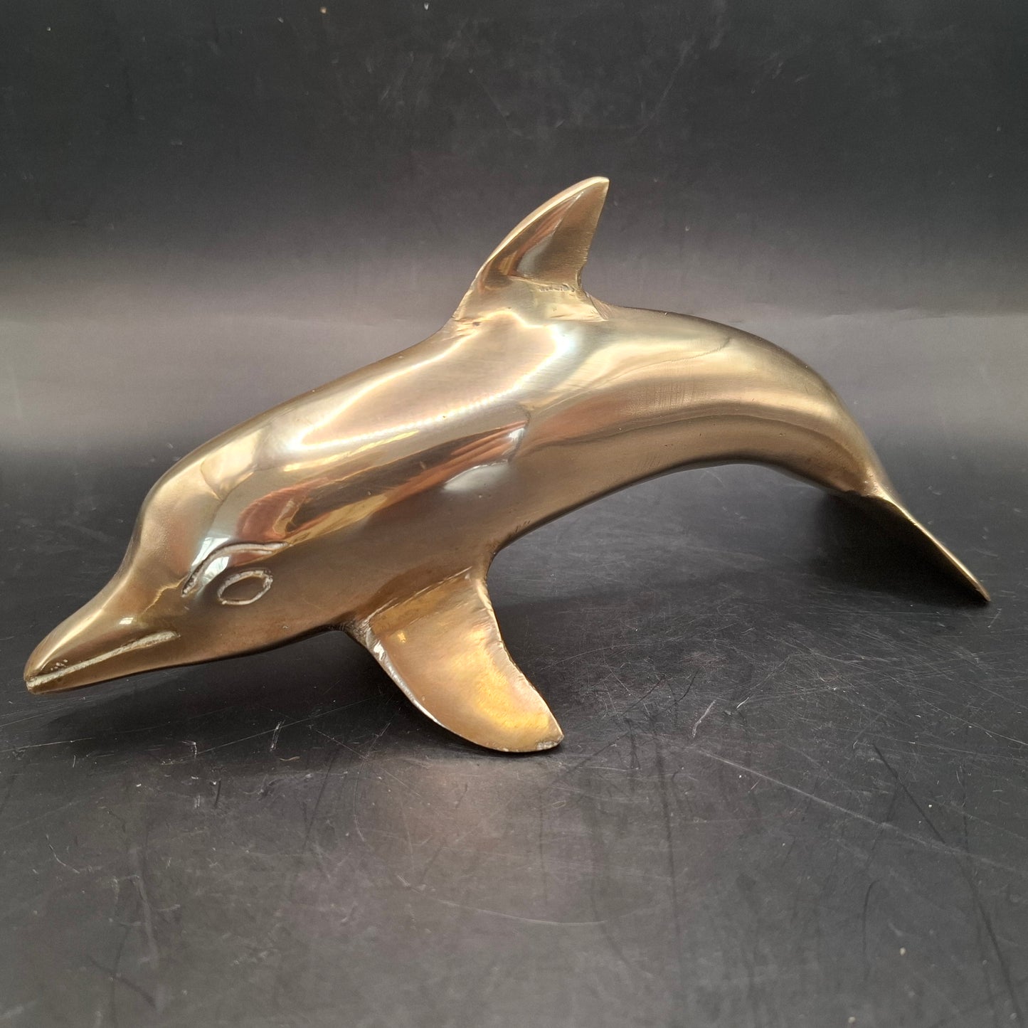 Metal Dolphin