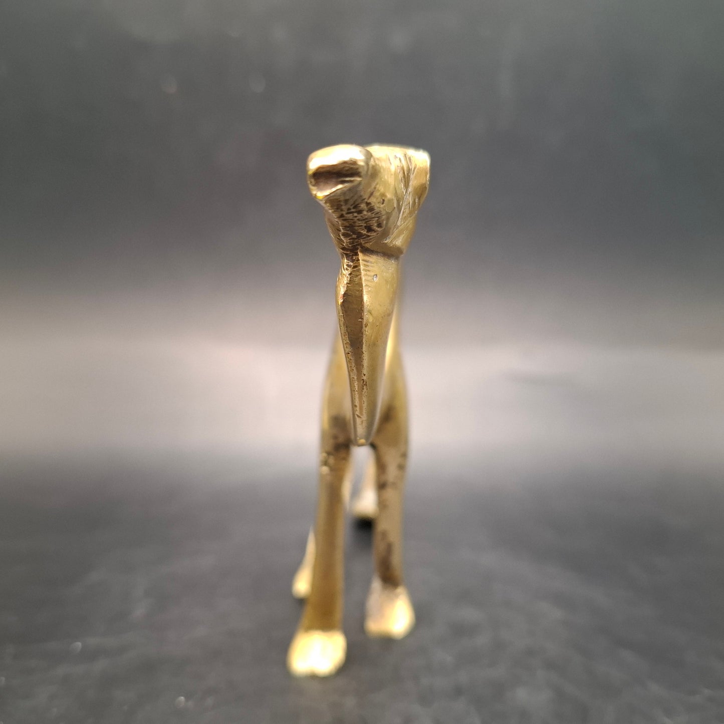 Metal Camel