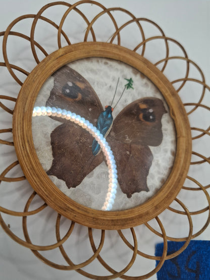 Butterfly Coasters