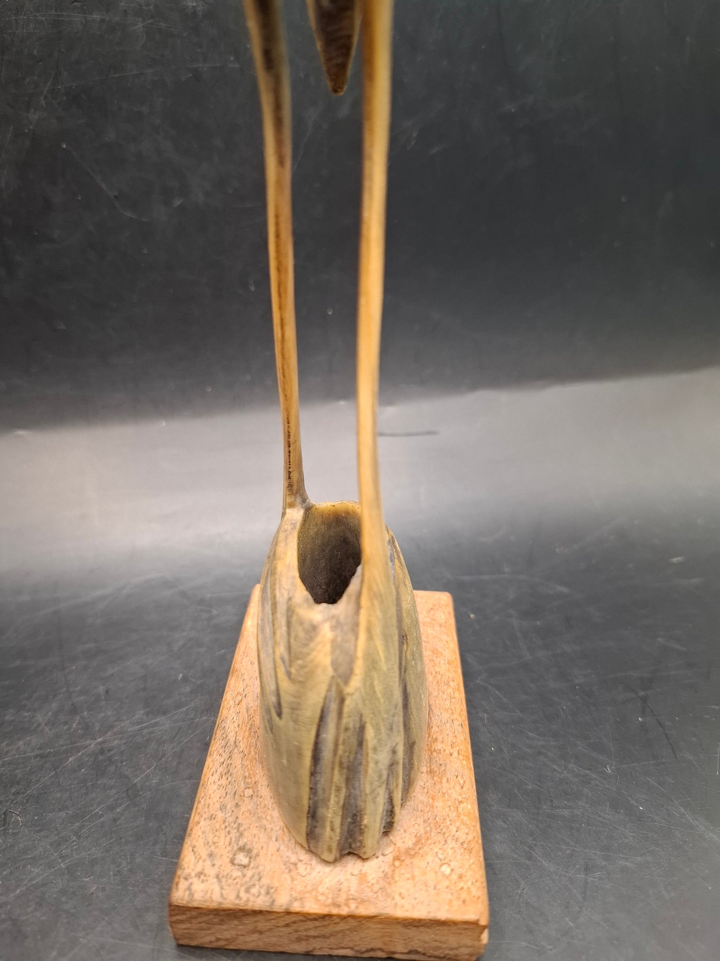 Bigger Mounted Bird Horn Carving (UK Only)