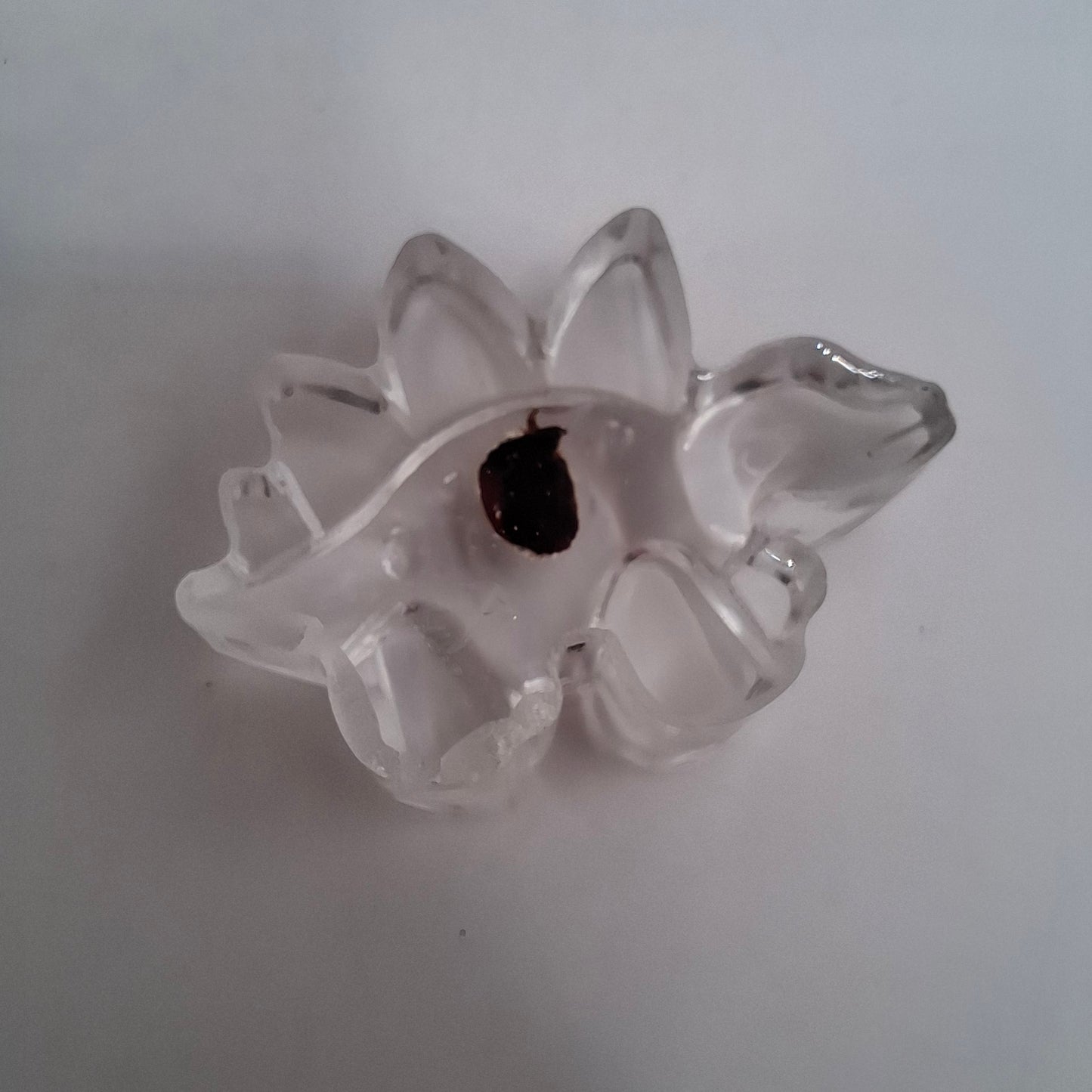 Bargain Box AKA Imperfect things