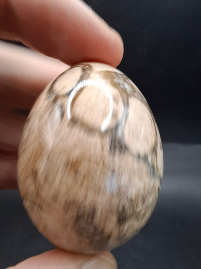 Egg Carving