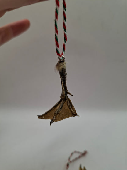 Festive Duck Feet