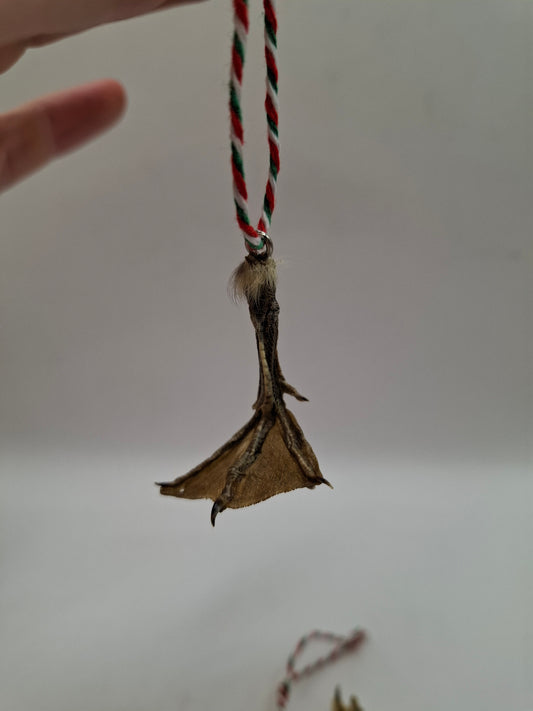 Festive Duck Feet