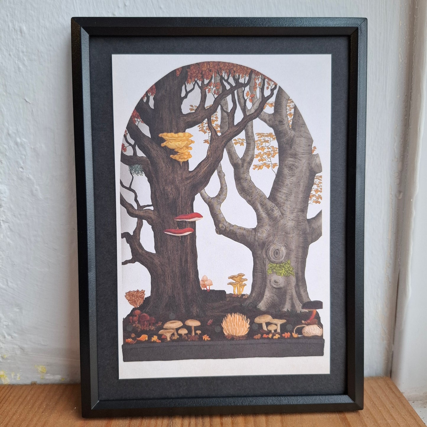 Framed Illustrations (Anatomical and more)