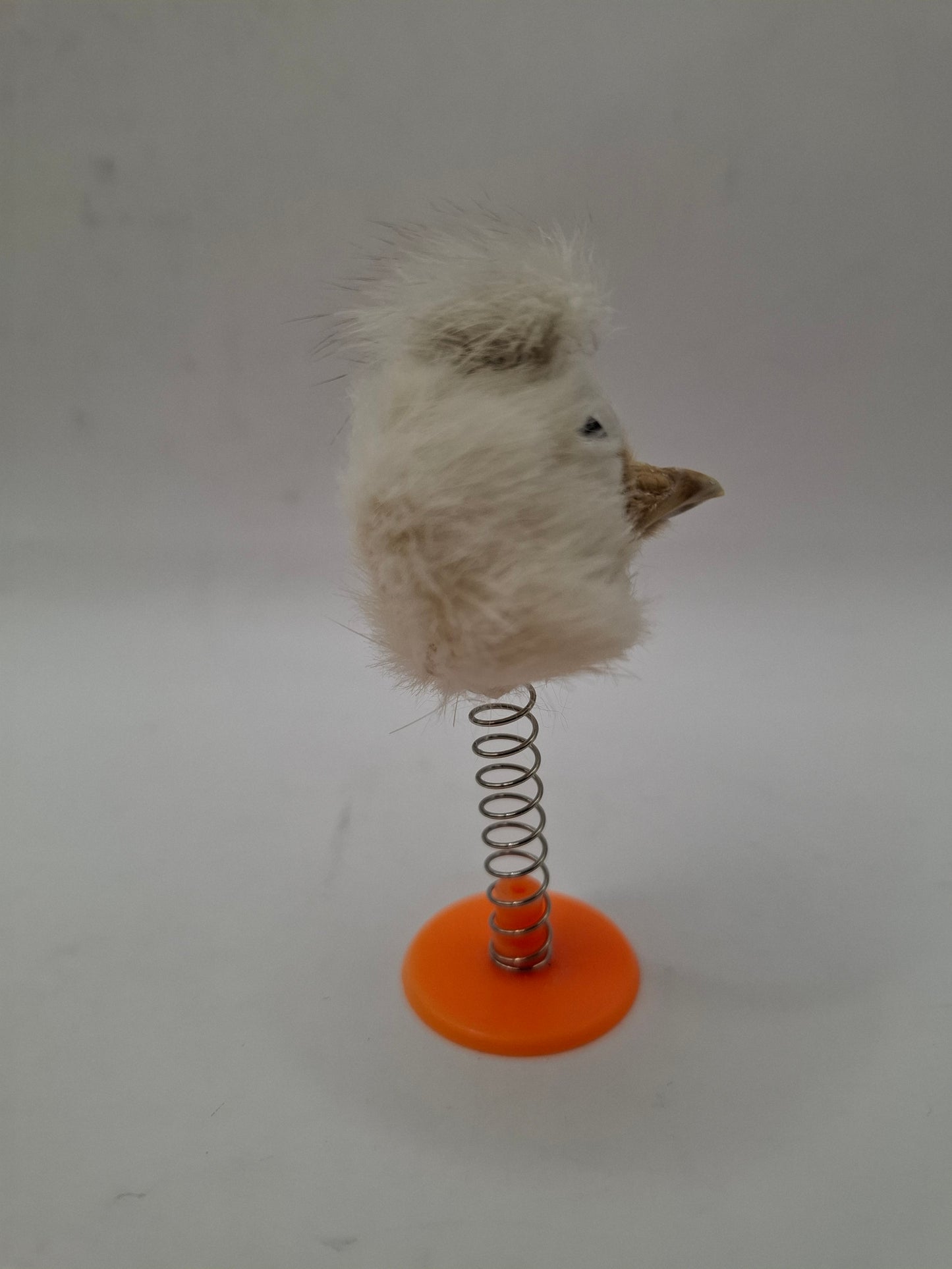 Jerry The Ball Flicker