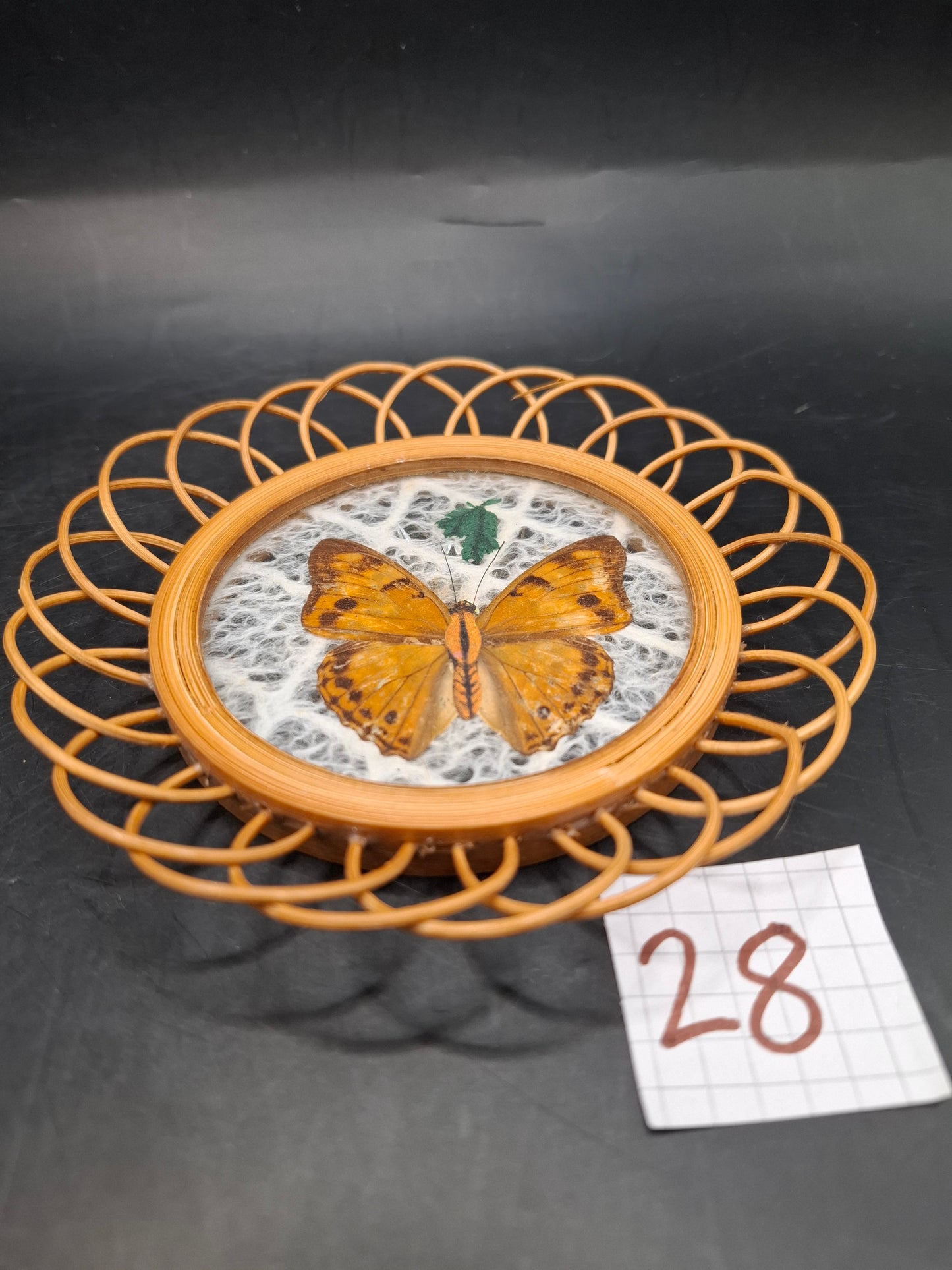 Butterfly Coasters