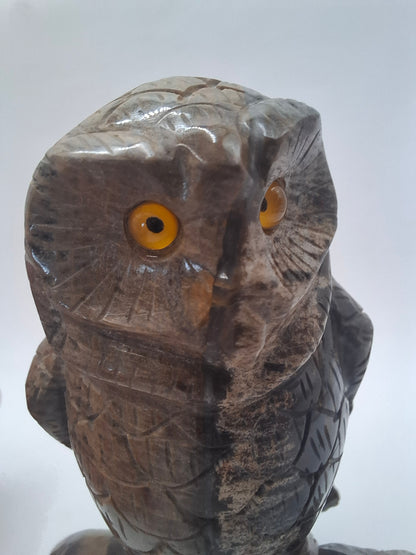 Dark Owl Carving