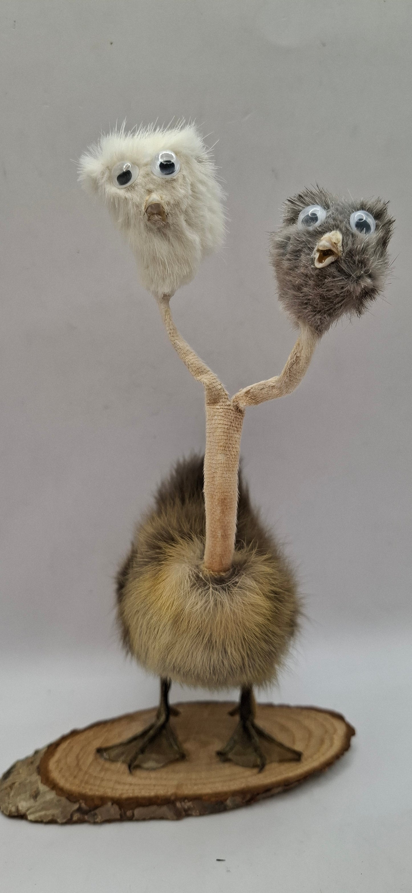 Twin Beaks