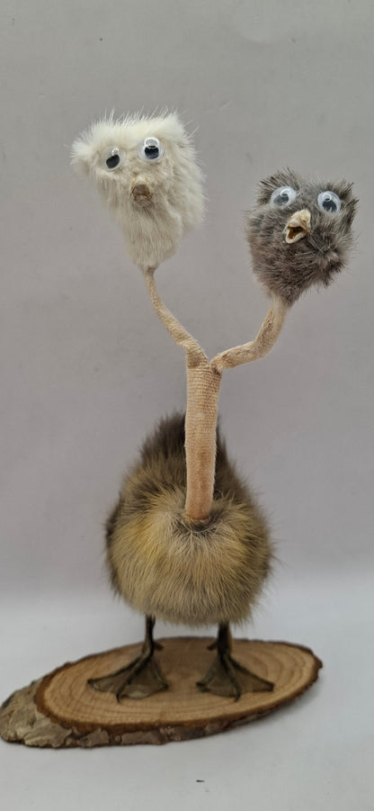 Twin Beaks