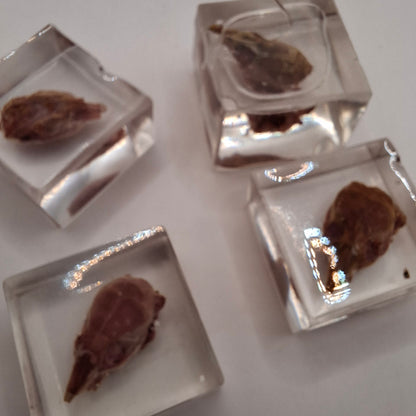 Bargain Box AKA Imperfect things