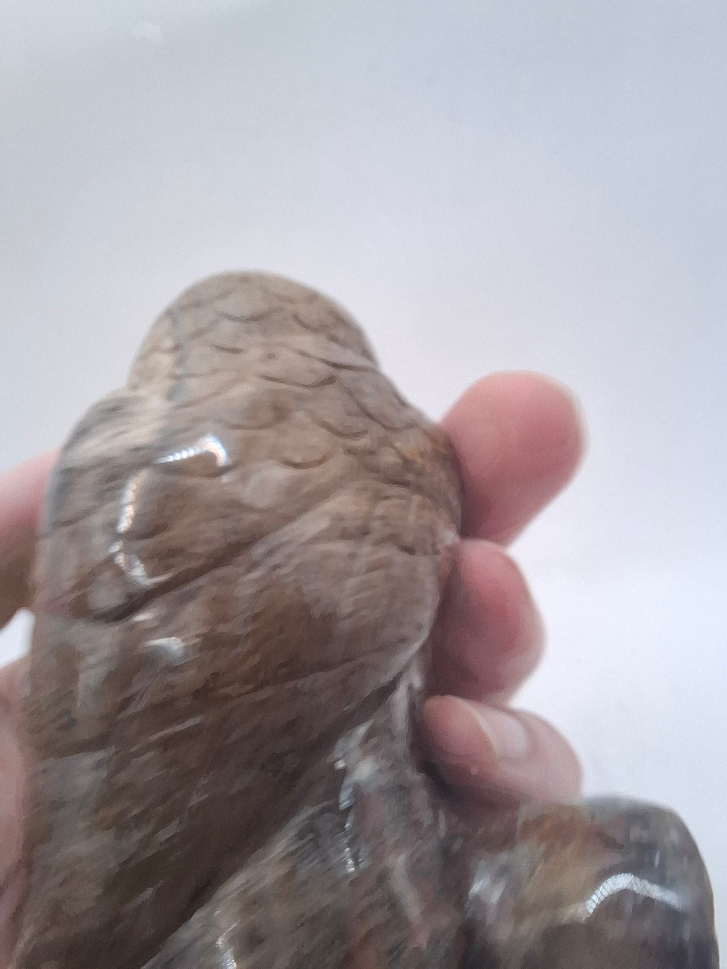 Dark Owl Carving