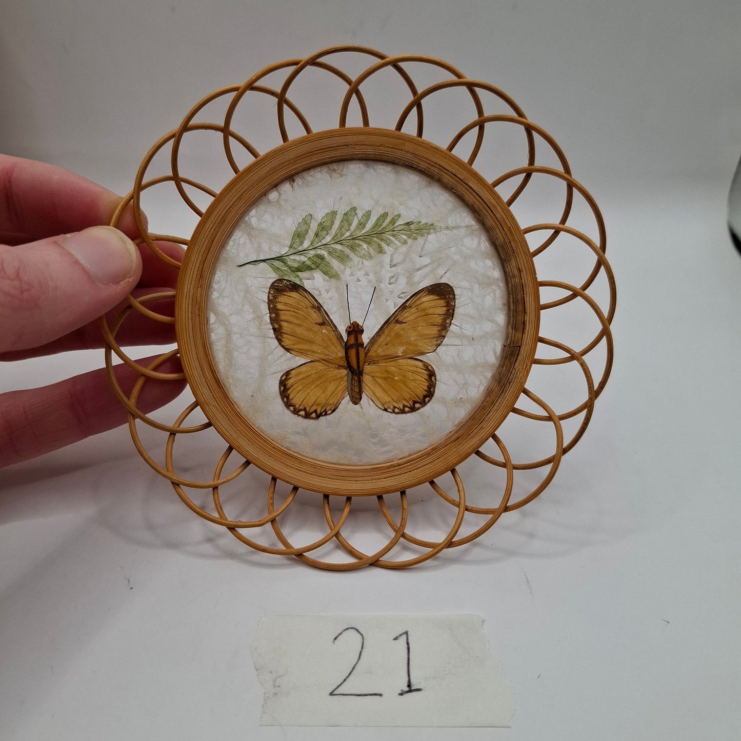 Butterfly Coasters