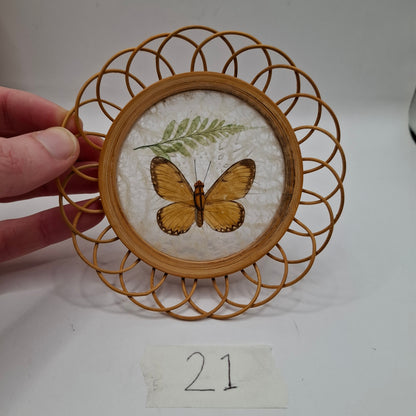 Butterfly Coasters
