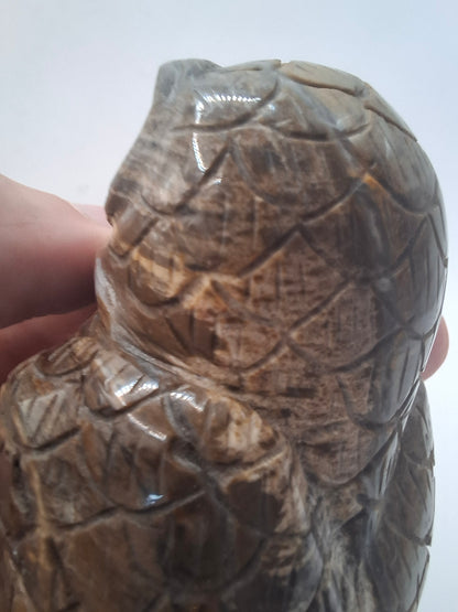 Dark Owl Carving