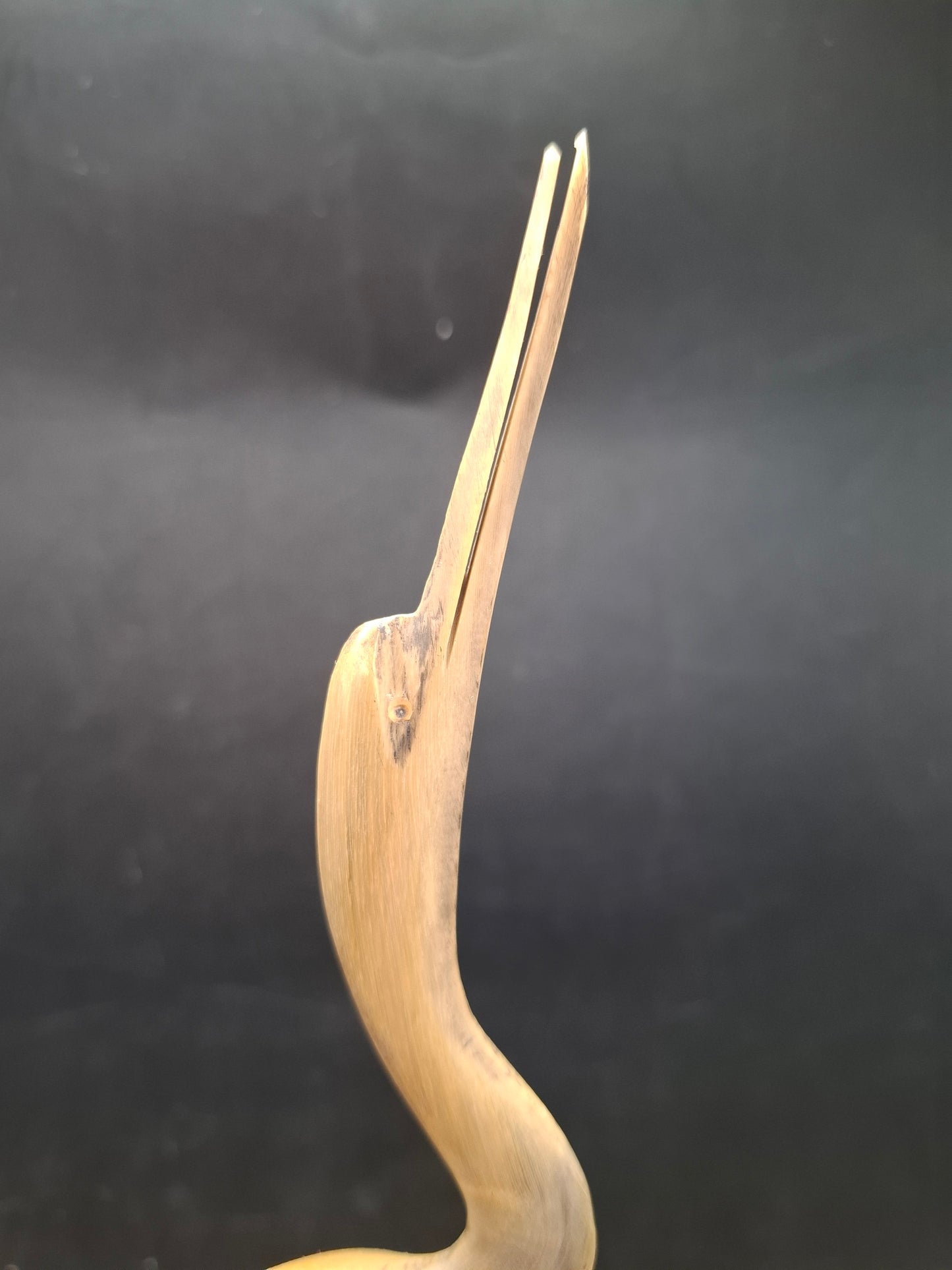 Bigger Mounted Bird Horn Carving (UK Only)