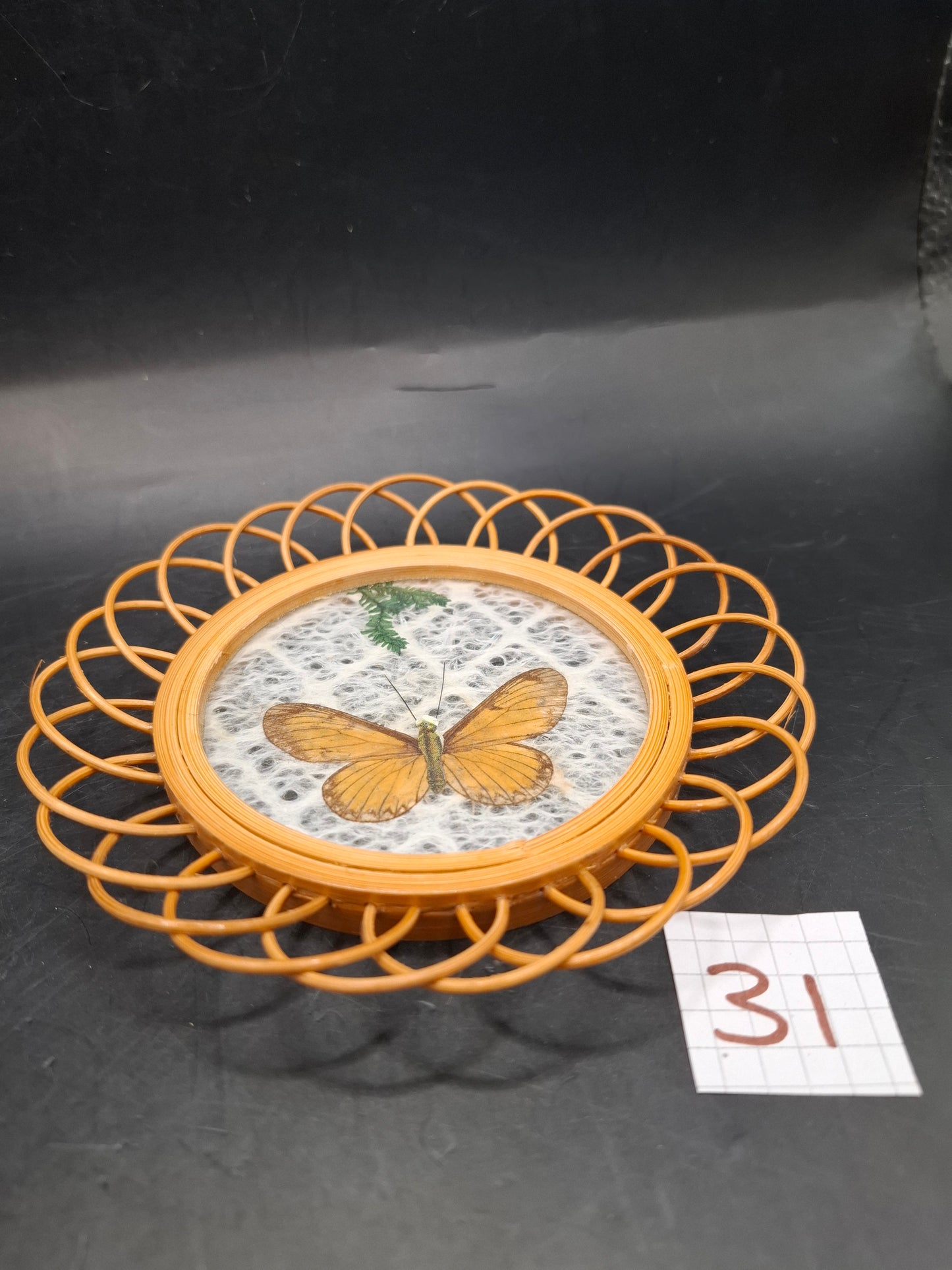 Butterfly Coasters