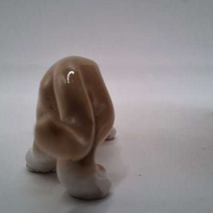 Tiny Animals