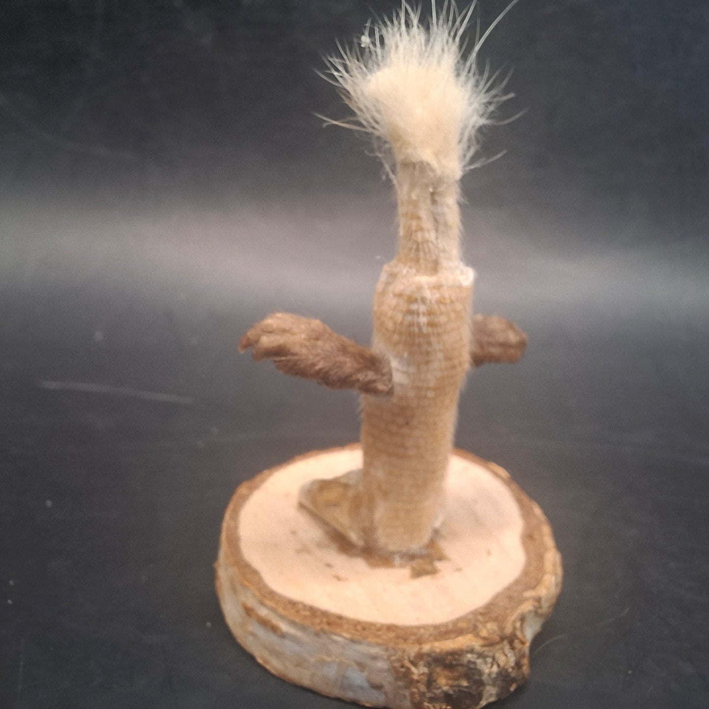 Mini Meat