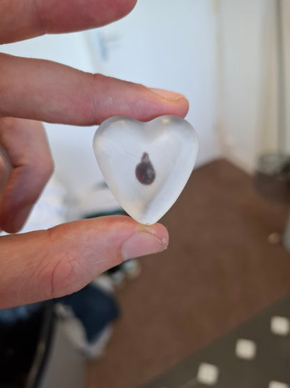 Mouse Heart