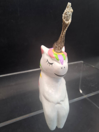 Shinny Unicorn