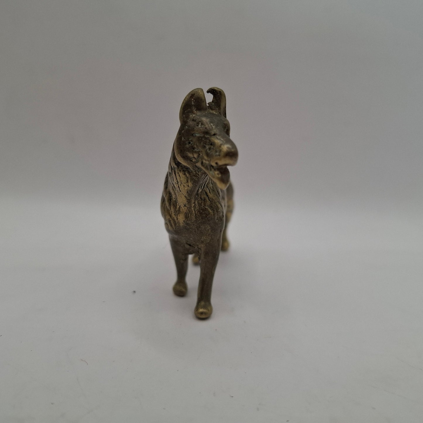Metal Dog