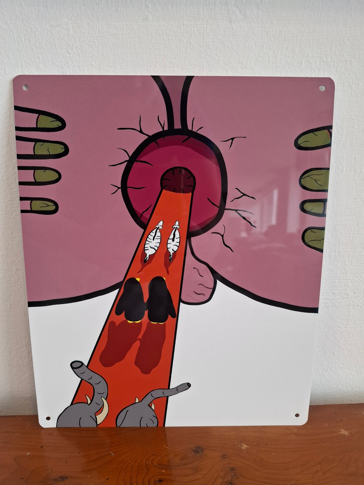 Noah's Arse Wall Sign