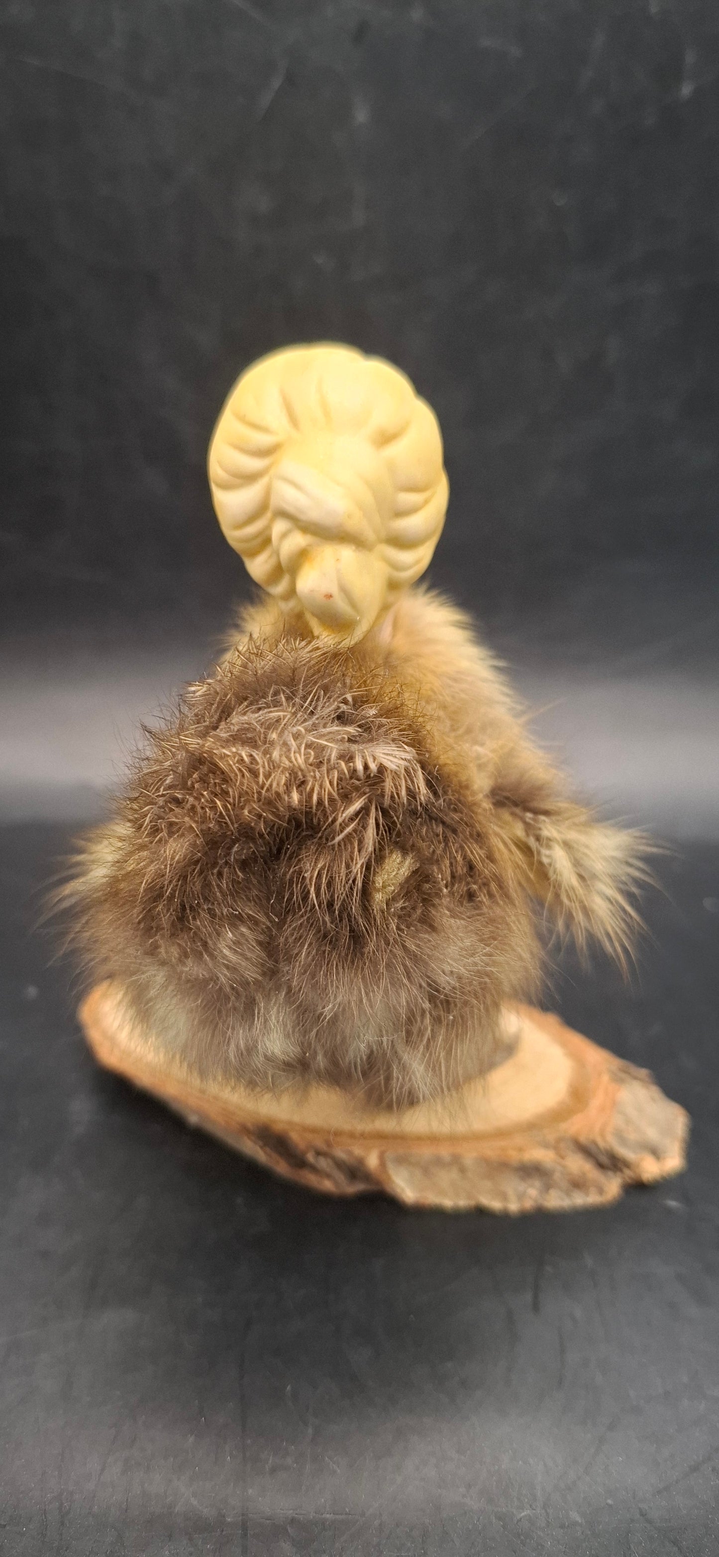 Duck Heads